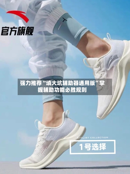 强力推荐“填大坑辅助器通用版	”掌握辅助功能必胜规则-第2张图片