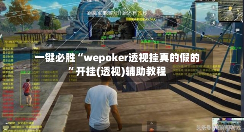 一键必胜“wepoker透视挂真的假的”开挂(透视)辅助教程-第3张图片