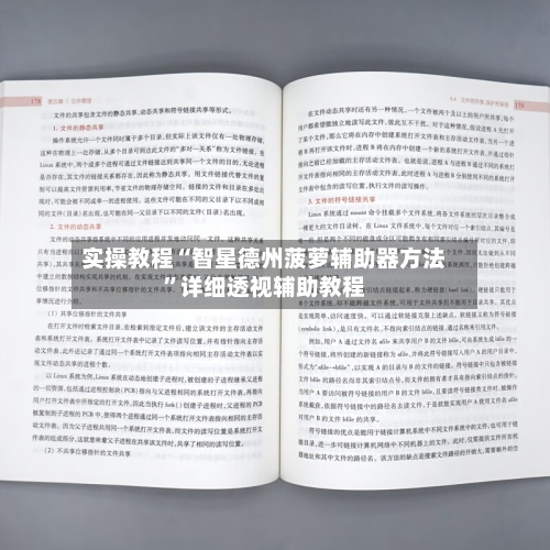 实操教程“智星德州菠萝辅助器方法”详细透视辅助教程-第2张图片