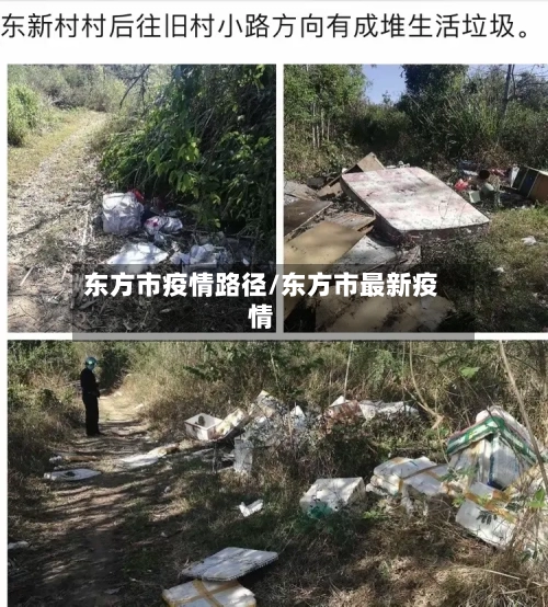 东方市疫情路径/东方市最新疫情-第2张图片