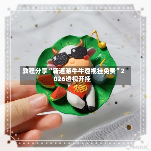 教程分享“新道游牛牛透视挂免费”2026透视开挂-第3张图片