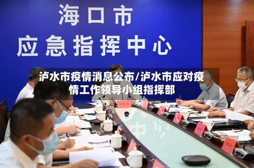 泸水市疫情消息公布/泸水市应对疫情工作领导小组指挥部
