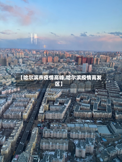 【哈尔滨市疫情高峰,哈尔滨疫情高发区】-第2张图片