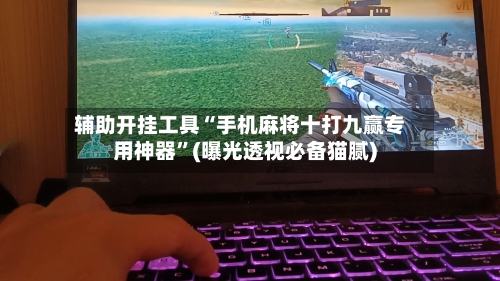 辅助开挂工具“手机麻将十打九赢专用神器”(曝光透视必备猫腻)-第2张图片