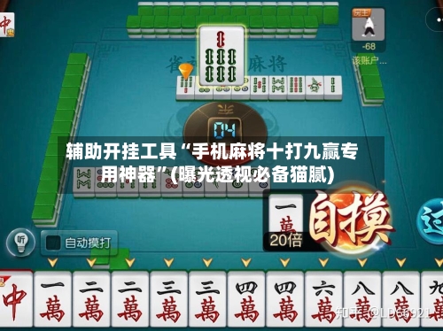 辅助开挂工具“手机麻将十打九赢专用神器	”(曝光透视必备猫腻)-第3张图片
