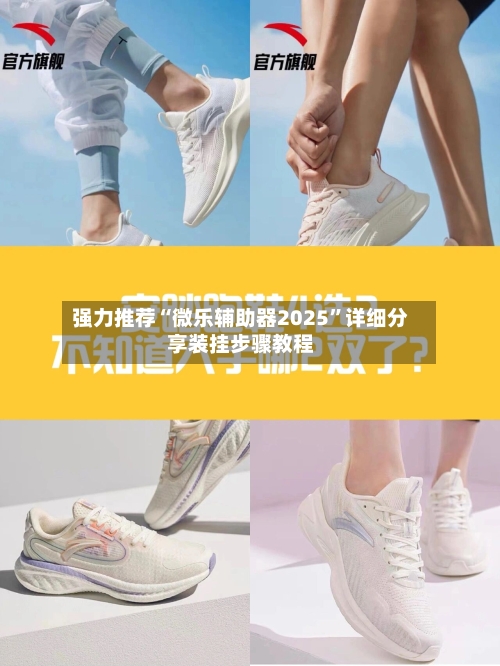 强力推荐“微乐辅助器2025”详细分享装挂步骤教程-第2张图片