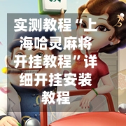 实测教程“上海哈灵麻将开挂教程”详细开挂安装教程-第3张图片