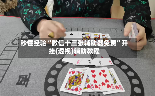 秒懂经验“微信十三张辅助器免费	”开挂(透视)辅助教程-第2张图片