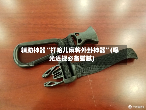 辅助神器“打哈儿麻将外卦神器”(曝光透视必备猫腻)-第2张图片