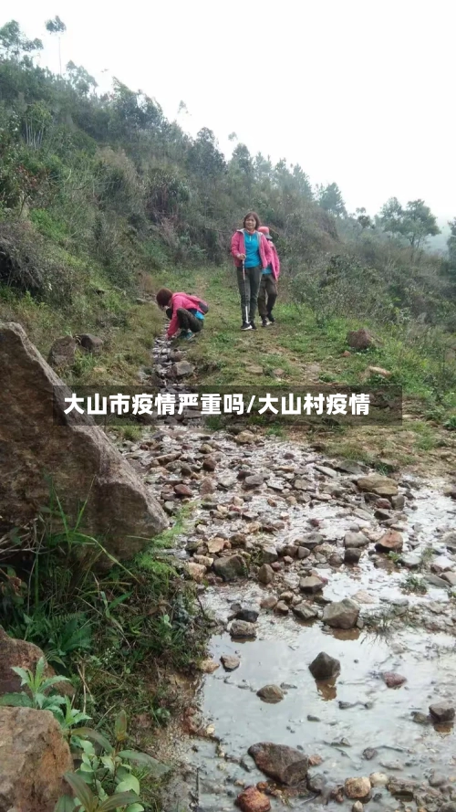 大山市疫情严重吗/大山村疫情-第3张图片