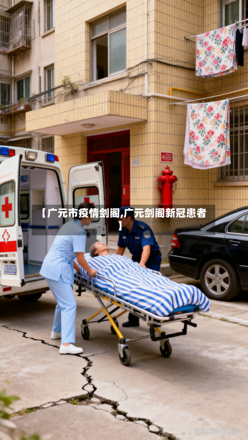 【广元市疫情剑阁,广元剑阁新冠患者】-第3张图片