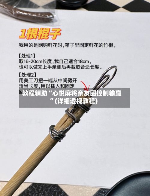 教程辅助“心悦麻将亲友圈控制输赢	”(详细透视教程)-第2张图片