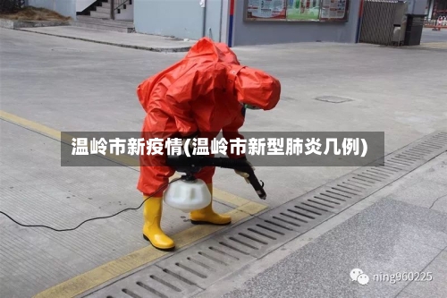 温岭市新疫情(温岭市新型肺炎几例)-第2张图片