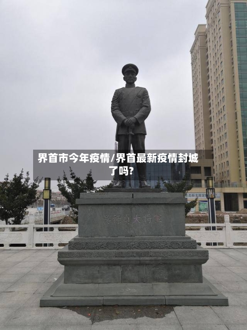 界首市今年疫情/界首最新疫情封城了吗?-第3张图片