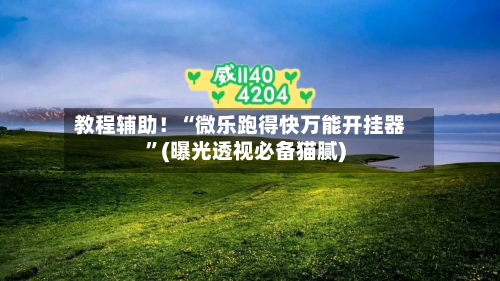 教程辅助!“微乐跑得快万能开挂器”(曝光透视必备猫腻)