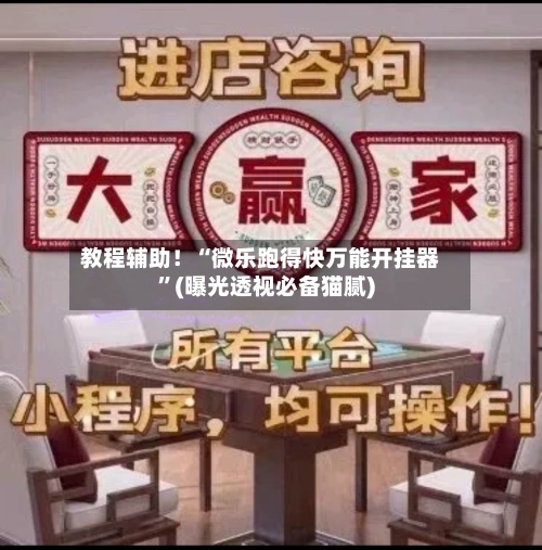 教程辅助！“微乐跑得快万能开挂器”(曝光透视必备猫腻)-第3张图片