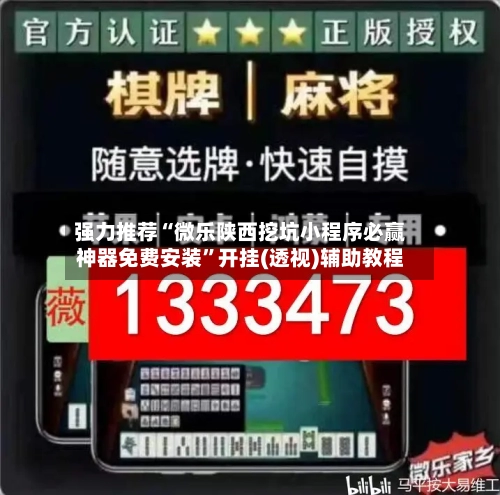 强力推荐“微乐陕西挖坑小程序必赢神器免费安装”开挂(透视)辅助教程-第2张图片