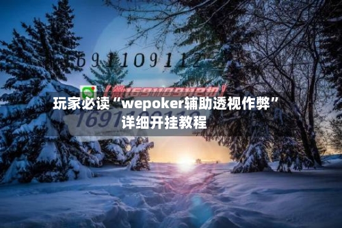 玩家必读“wepoker辅助透视作弊	”详细开挂教程-第2张图片