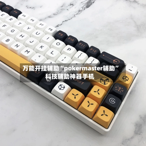 万能开挂辅助“pokermaster辅助”科技辅助神器手机