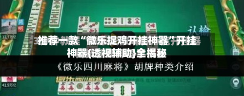 推荐一款“微乐捉鸡开挂神器”开挂神器{透视辅助}全揭秘-第2张图片