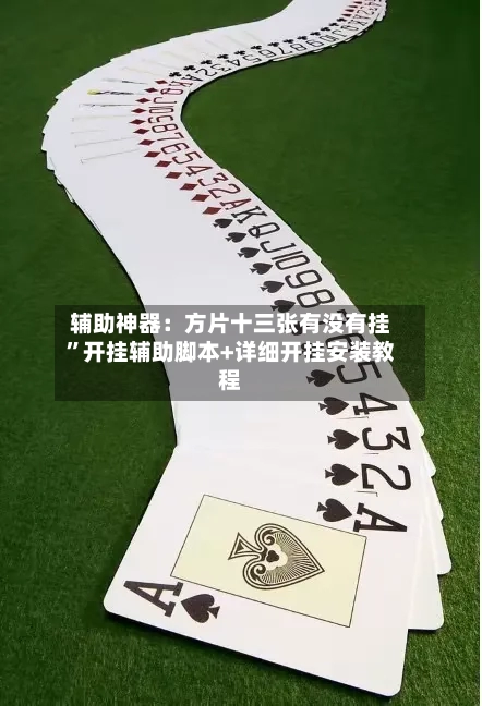 辅助神器:方片十三张有没有挂”开挂辅助脚本+详细开挂安装教程