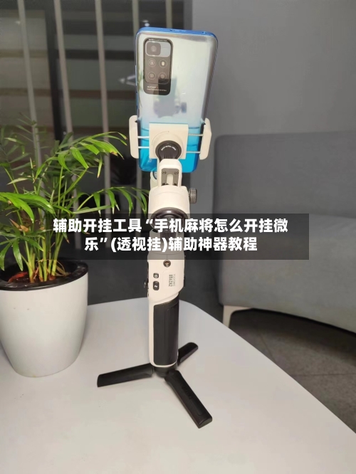 辅助开挂工具“手机麻将怎么开挂微乐”(透视挂)辅助神器教程-第3张图片