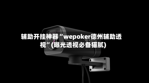 辅助开挂神器“wepoker德州辅助透视”(曝光透视必备猫腻)-第3张图片