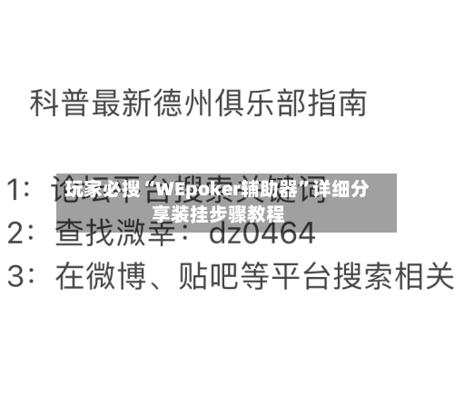 玩家必搜“WEpoker辅助器”详细分享装挂步骤教程-第3张图片