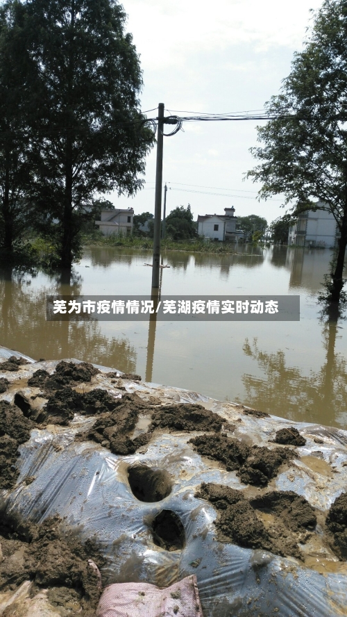 芜为市疫情情况/芜湖疫情实时动态-第2张图片