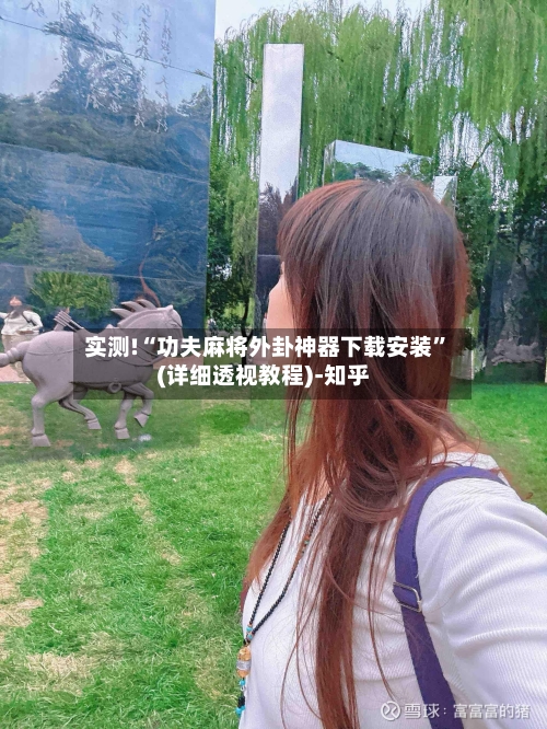 实测!“功夫麻将外卦神器下载安装	”(详细透视教程)-知乎-第2张图片