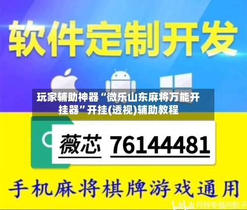 玩家辅助神器“微乐山东麻将万能开挂器”开挂(透视)辅助教程-第2张图片
