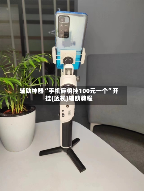 辅助神器“手机麻将挂100元一个”开挂(透视)辅助教程-第3张图片