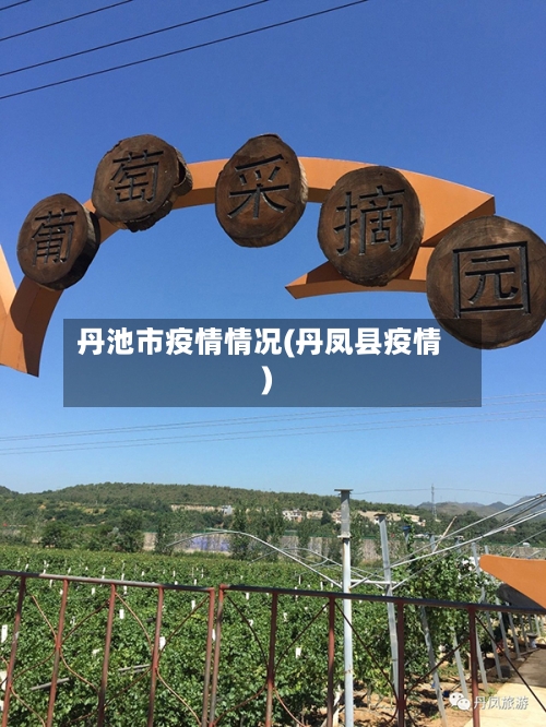 丹池市疫情情况(丹凤县疫情)