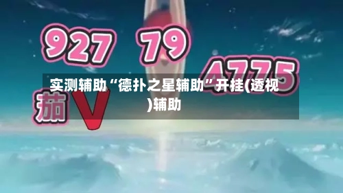 实测辅助“德扑之星辅助”开挂(透视)辅助-第3张图片