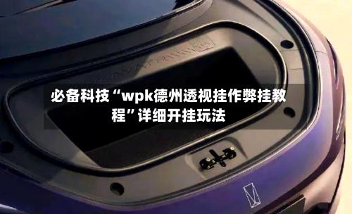 必备科技“wpk德州透视挂作弊挂教程”详细开挂玩法-第3张图片