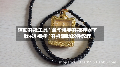 辅助开挂工具“金华佛手开挂神器下载+透视挂”开挂辅助软件教程-第3张图片