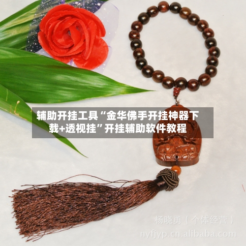 辅助开挂工具“金华佛手开挂神器下载+透视挂”开挂辅助软件教程-第2张图片