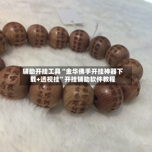 辅助开挂工具“金华佛手开挂神器下载+透视挂”开挂辅助软件教程