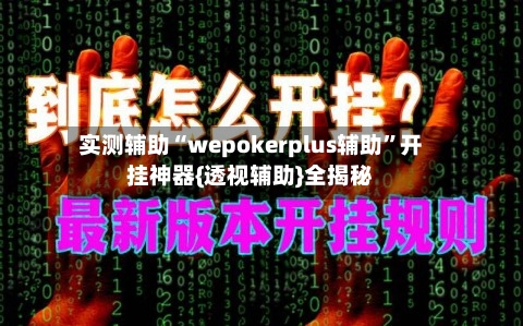 实测辅助“wepokerplus辅助”开挂神器{透视辅助}全揭秘-第2张图片
