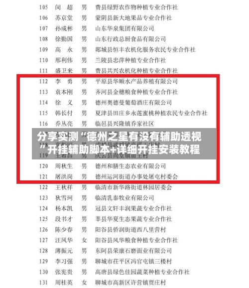 分享实测“德州之星有没有辅助透视”开挂辅助脚本+详细开挂安装教程-第3张图片