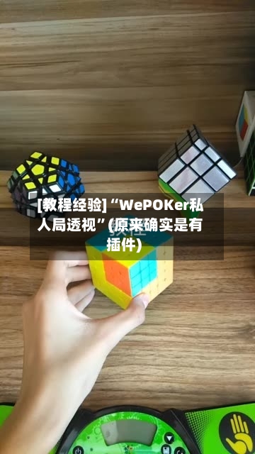 [教程经验]“WePOKer私人局透视”(原来确实是有插件)-第2张图片