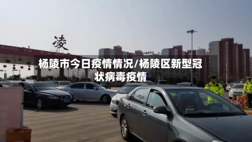 杨陵市今日疫情情况/杨陵区新型冠状病毒疫情-第3张图片