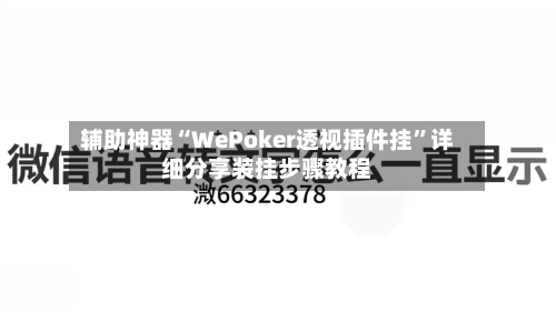 辅助神器“WePoker透视插件挂”详细分享装挂步骤教程-第3张图片