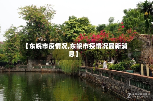 【东皖市疫情况,东皖市疫情况最新消息】-第2张图片