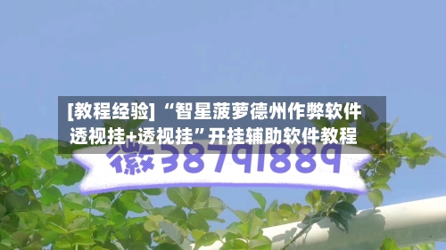 [教程经验] “智星菠萝德州作弊软件透视挂+透视挂	”开挂辅助软件教程-第2张图片