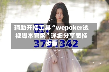 辅助开挂工具“wepoker透视脚本官网”详细分享装挂步骤-第2张图片
