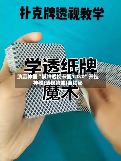 助赢神器“棋牌透视卡盟1.0.0”开挂神器{透视辅助}全揭秘-第2张图片