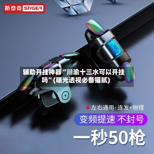 辅助开挂神器“川渝十三水可以开挂吗	”(曝光透视必备猫腻)-第2张图片