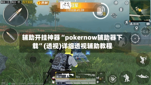 辅助开挂神器“pokernow辅助器下载”(透视)详细透视辅助教程-第3张图片