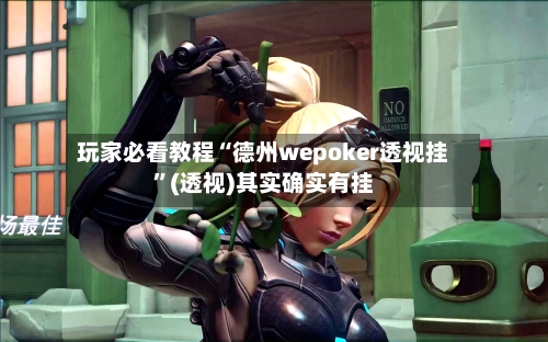 玩家必看教程“德州wepoker透视挂	”(透视)其实确实有挂-第2张图片